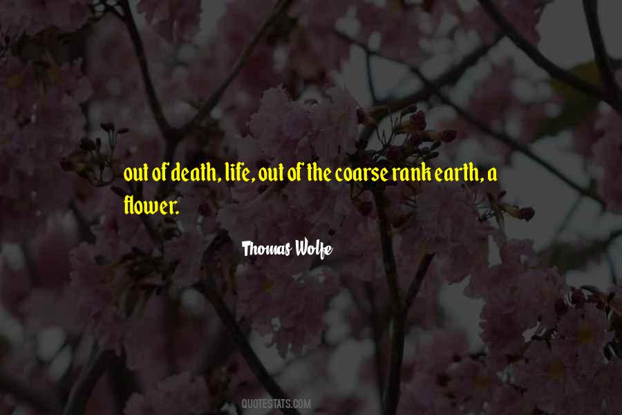 Thomas Wolfe Quotes #1042458