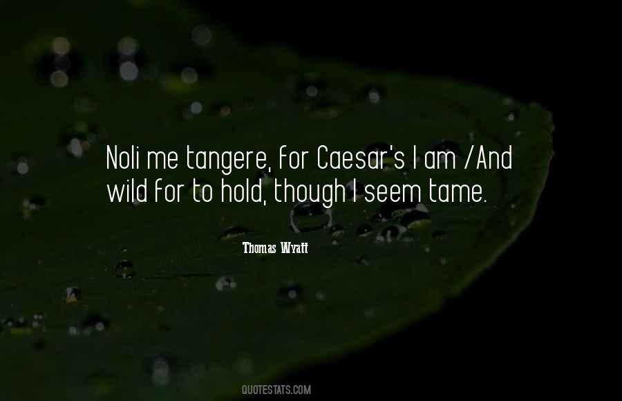 Thomas Wyatt Quotes #87895