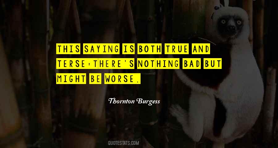 Thornton Burgess Quotes #990033