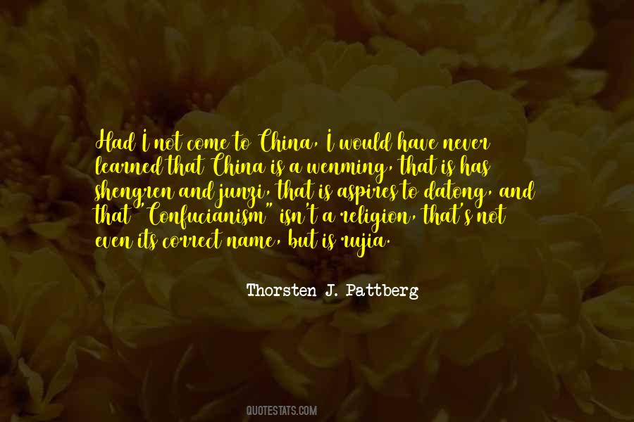 Thorsten J. Pattberg Quotes #902855