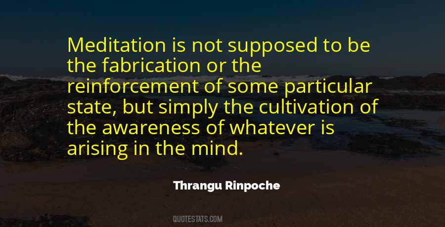 Thrangu Rinpoche Quotes #1111166