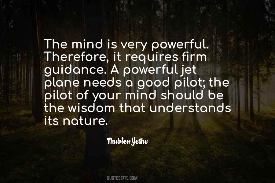 Thubten Yeshe Quotes #474103
