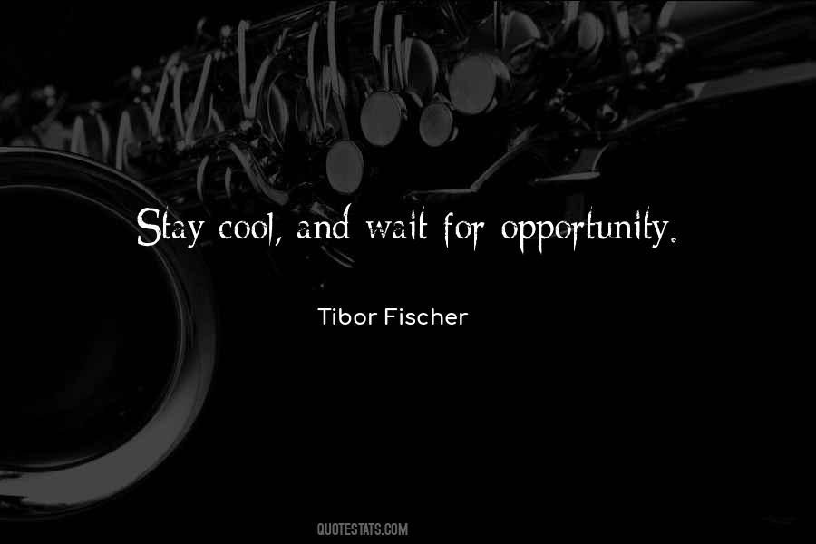 Tibor Fischer Quotes #1720882