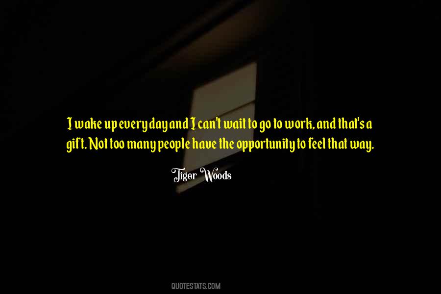 Tiger Woods Quotes #961475