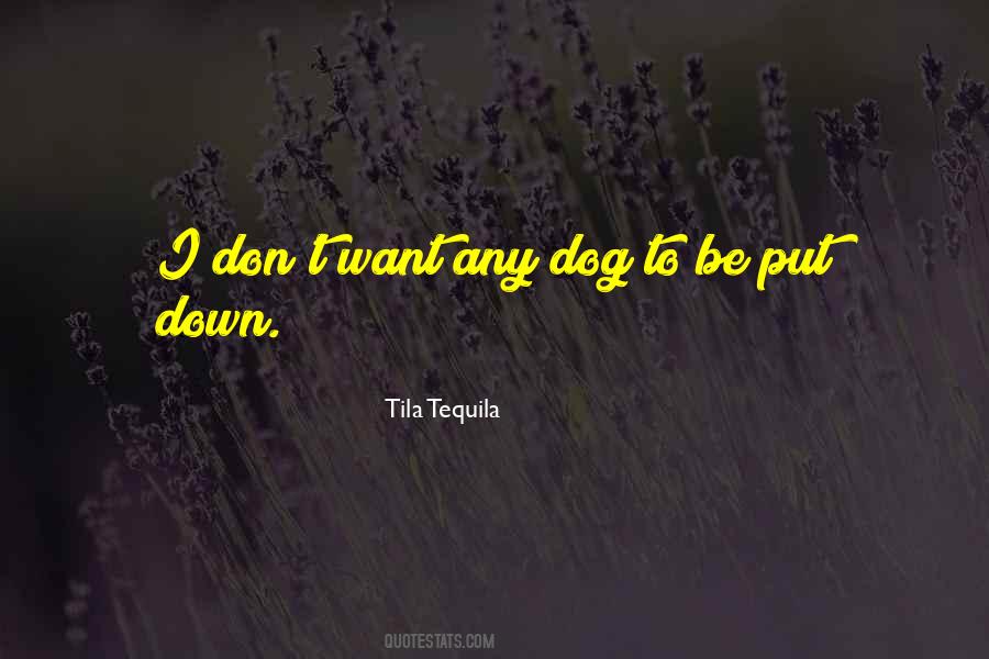 Tila Tequila Quotes #1583253