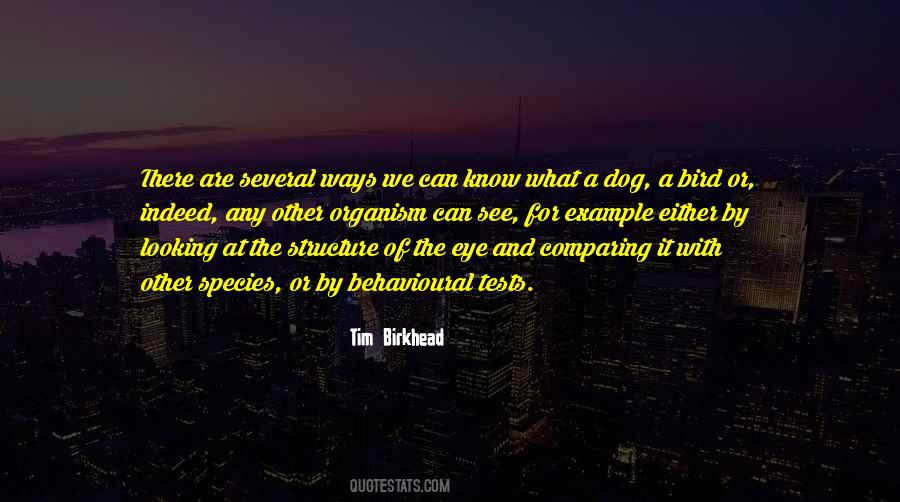 Tim Birkhead Quotes #1471596