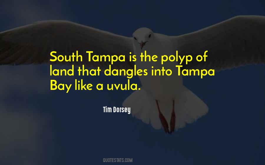 Tim Dorsey Quotes #740256