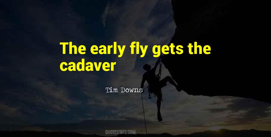Tim Downs Quotes #275434 Tim Downs Quotes #275434