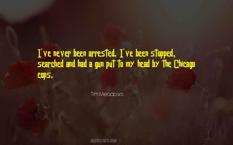 Tim Meadows Quotes #498190