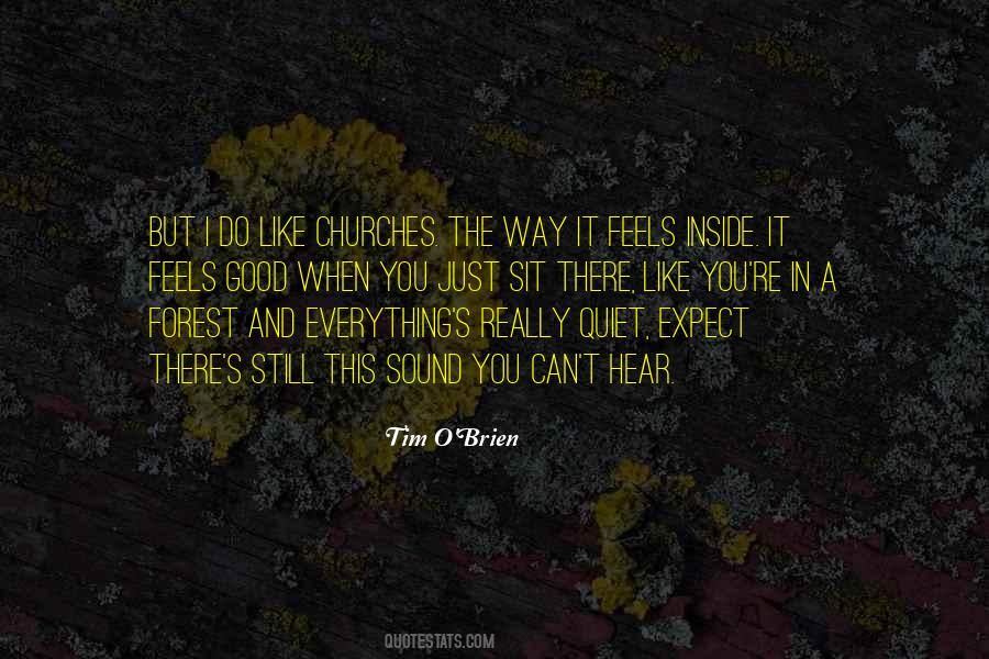 Tim O'Brien Quotes #522126