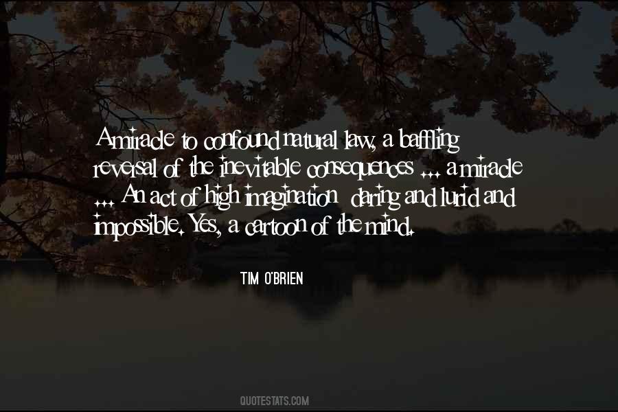 Tim O'Brien Quotes #571287