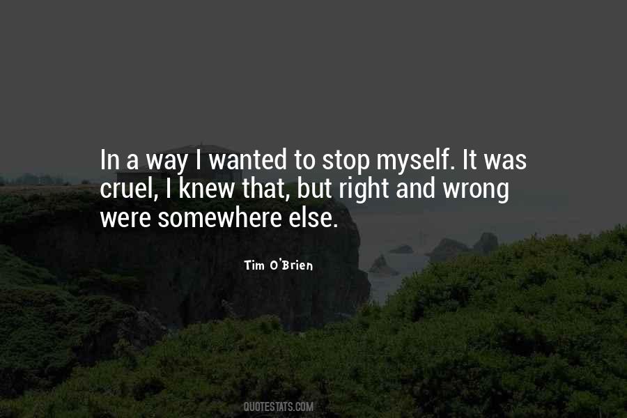 Tim O'Brien Quotes #622781