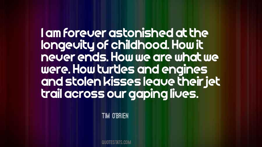 Tim O'Brien Quotes #888371