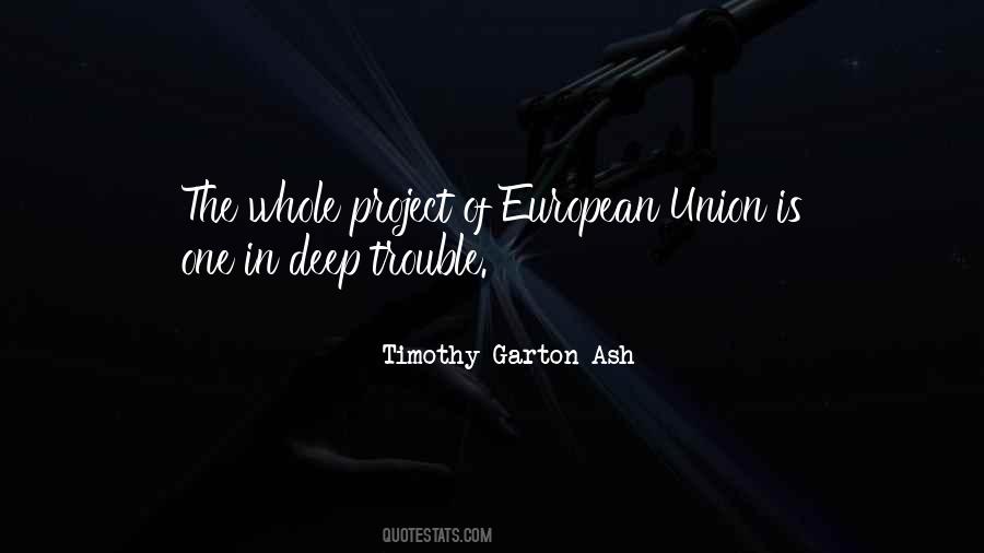 Timothy Garton Ash Quotes #336838