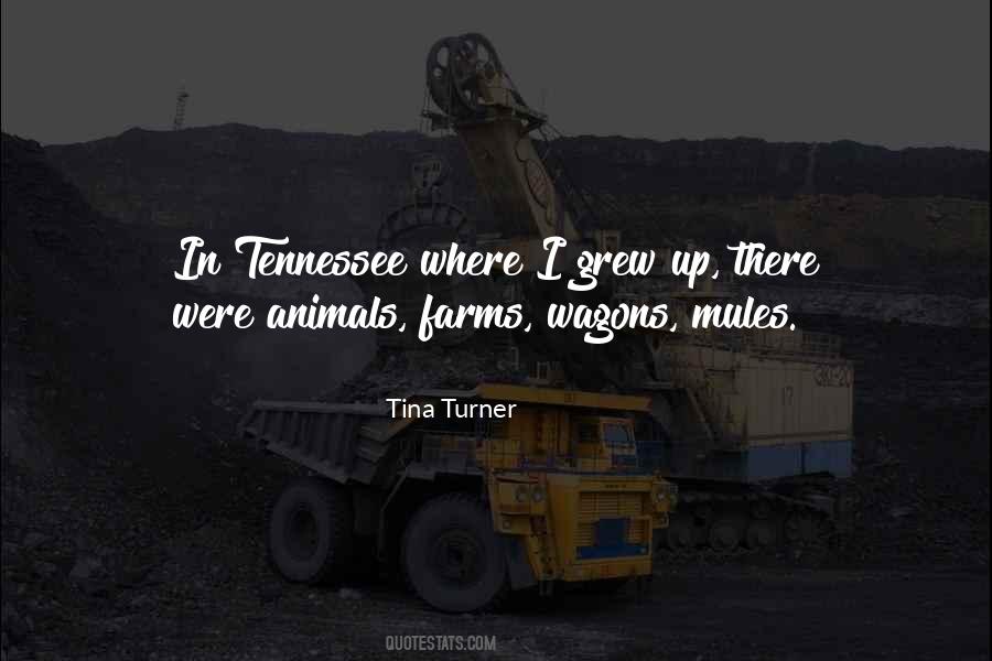 Tina Turner Quotes #974539