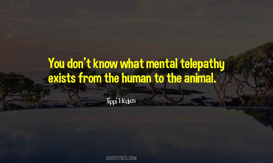 Tippi Hedren Quotes #90059