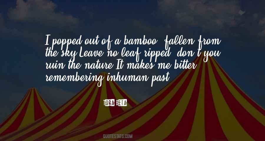 Toba Beta Quotes #1499319
