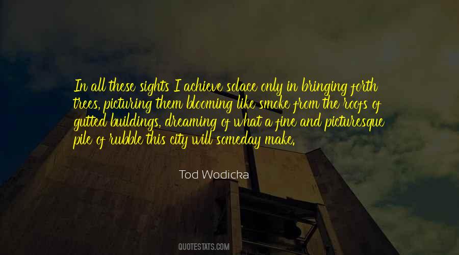 Tod Wodicka Quotes #851105