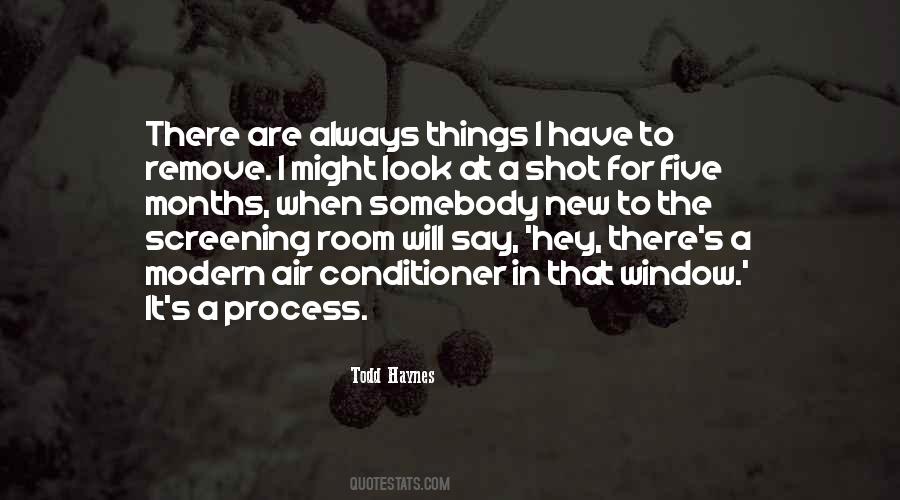 Todd Haynes Quotes #247509