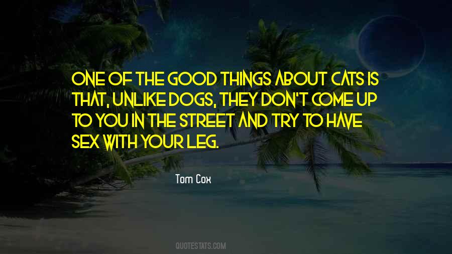 Tom Cox Quotes #963188