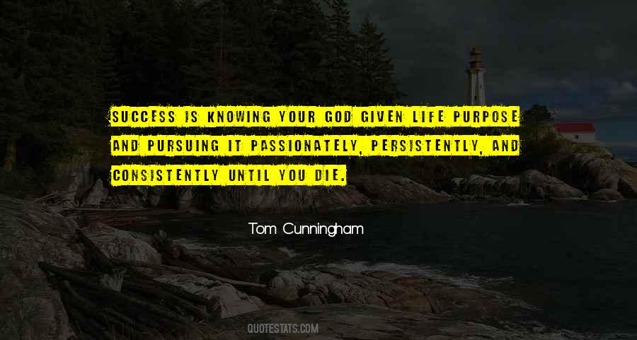 Tom Cunningham Quotes #275608