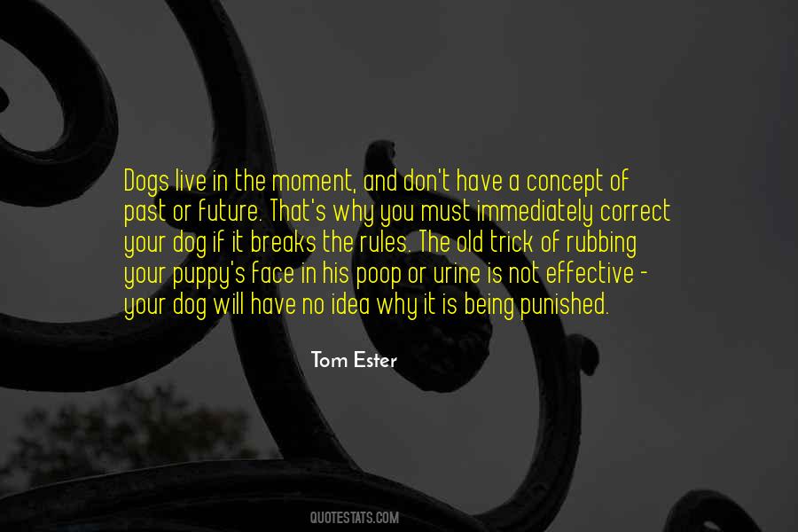 Tom Ester Quotes #1259799