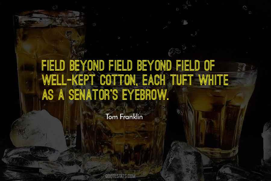 Tom Franklin Quotes #1875675