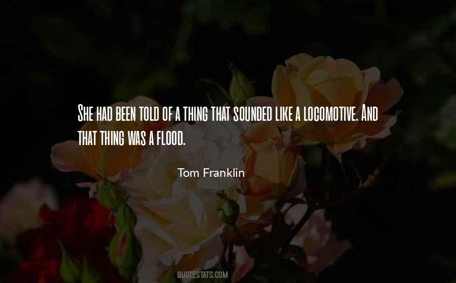 Tom Franklin Quotes #800266