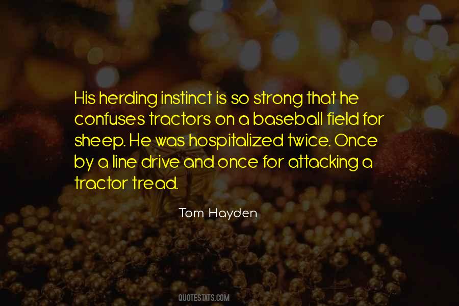 Tom Hayden Quotes #86867