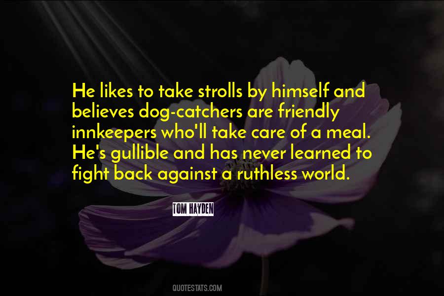 Tom Hayden Quotes #932877