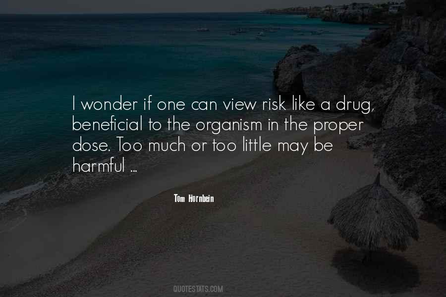 Tom Hornbein Quotes #1176998