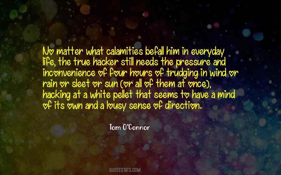 Tom O'Connor Quotes #115588