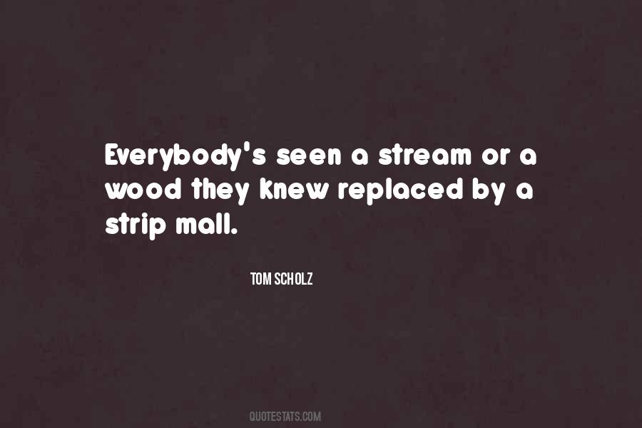 Tom Scholz Quotes #181588