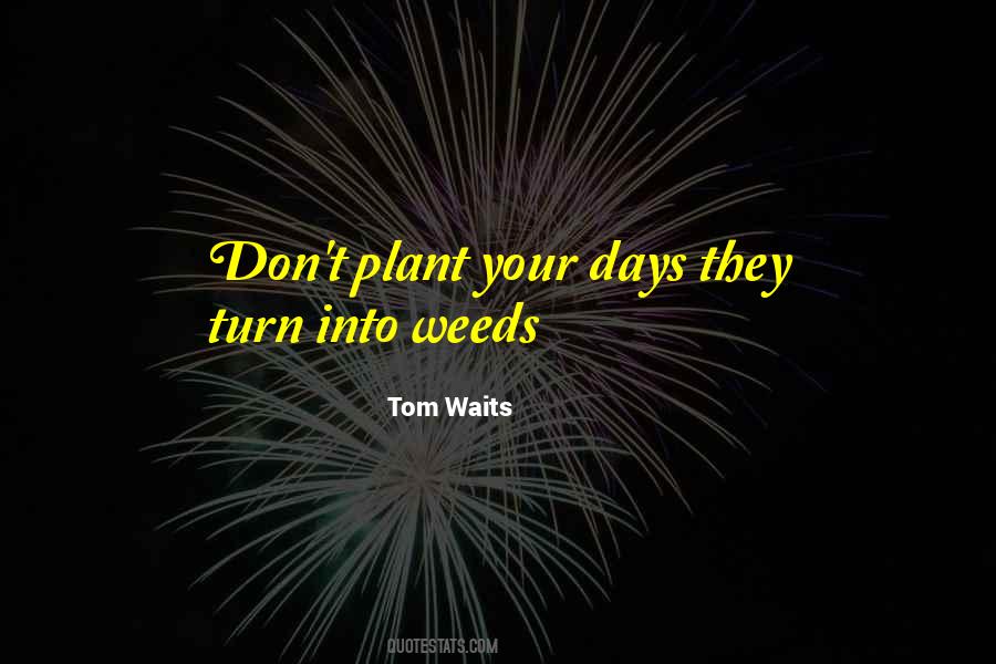 Tom Waits Quotes #246447