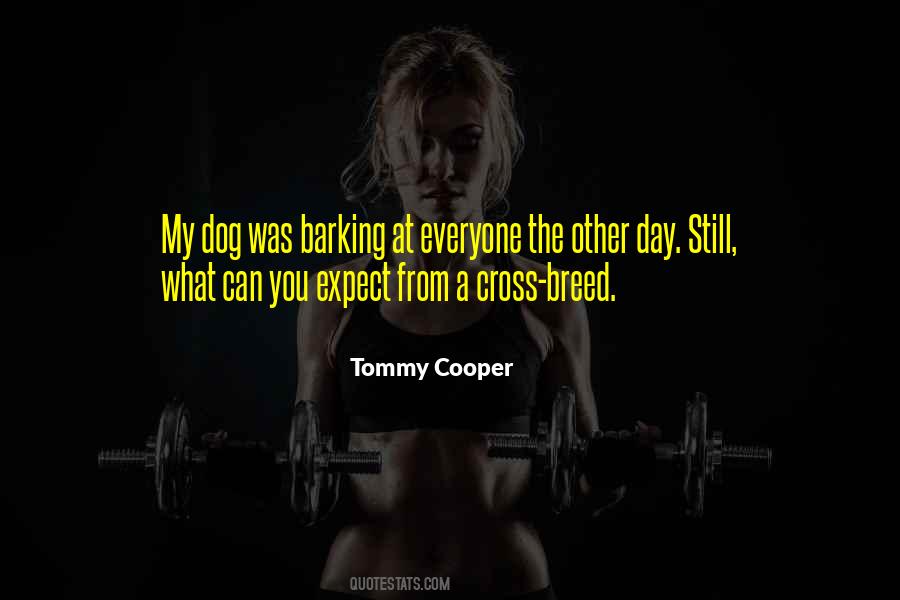 Tommy Cooper Quotes #233208