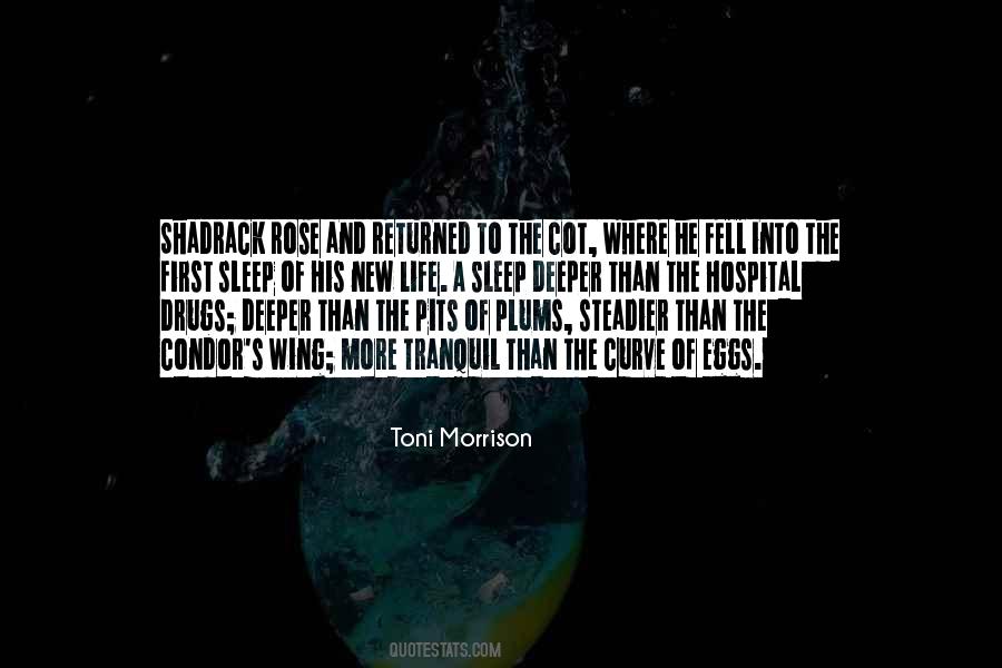 Toni Morrison Quotes #1029994