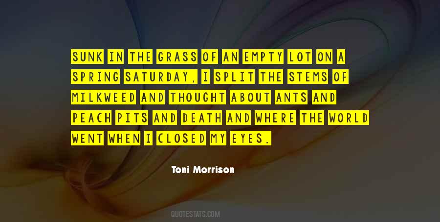 Toni Morrison Quotes #164263