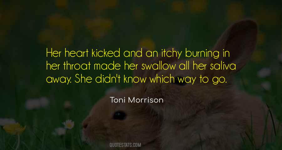 Toni Morrison Quotes #428997
