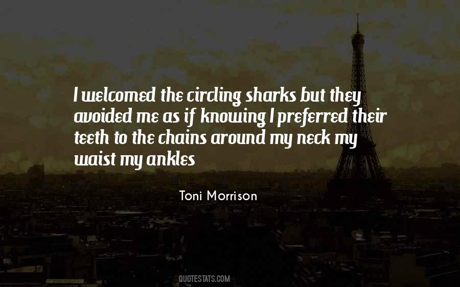 Toni Morrison Quotes #55136