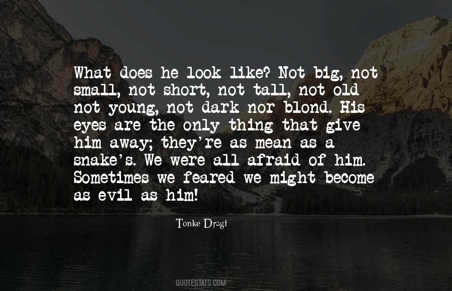Tonke Dragt Quotes #1421972 Tonke Dragt Quotes #1421972