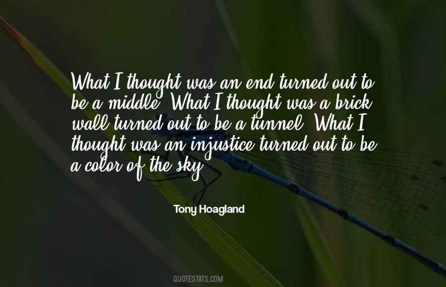 Tony Hoagland Quotes #681054