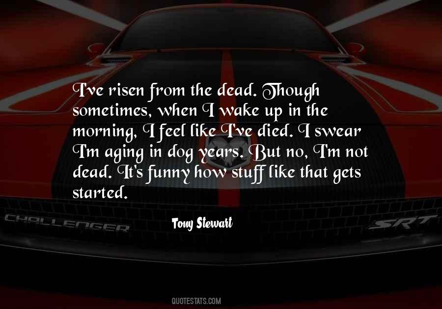 Tony Stewart Quotes #1328456