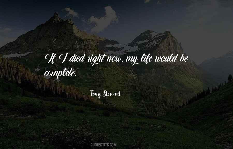Tony Stewart Quotes #140742
