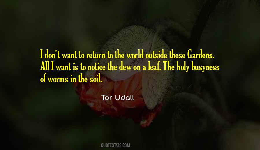 Tor Udall Quotes #1595717