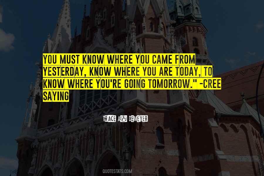 Trace A. DeMeyer Quotes #1095479 Trace A. DeMeyer Quotes #1095479