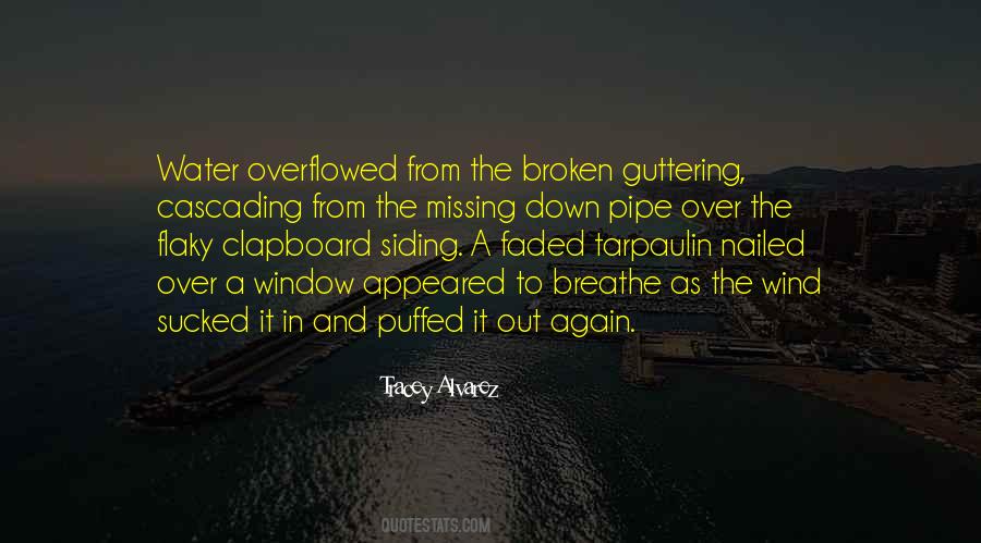 Tracey Alvarez Quotes #1614754