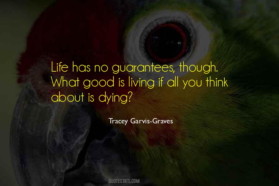 Tracey Garvis-Graves Quotes #1243611