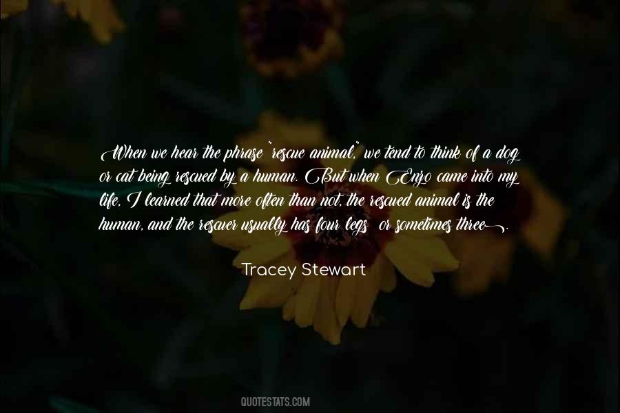 Tracey Stewart Quotes #359352