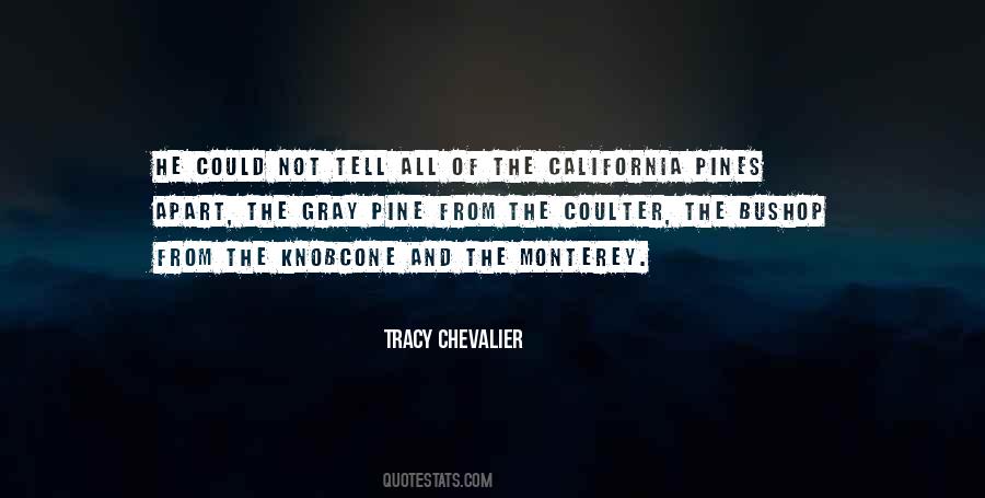 Tracy Chevalier Quotes #470301