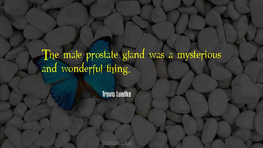 Travis Luedke Quotes #572732